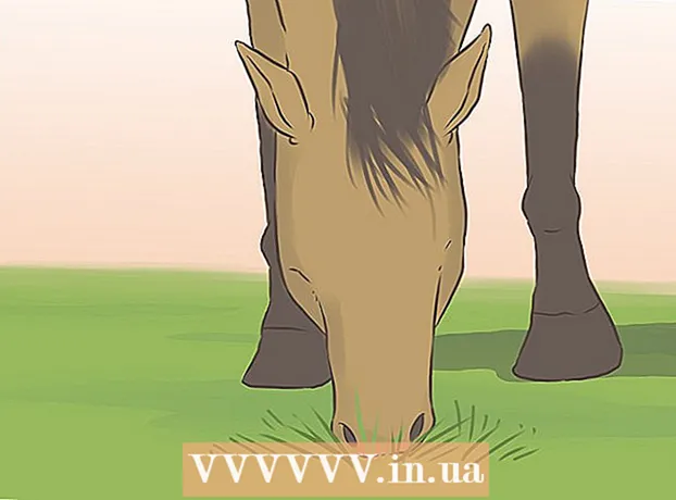 Kako vrniti konja v dobro formo