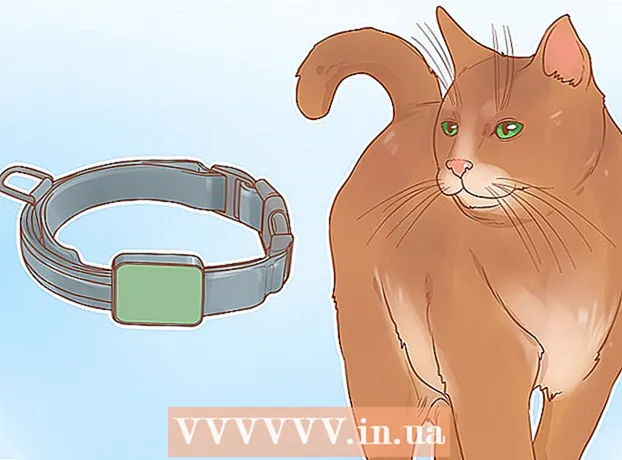 Kā izklaidēties ar savu kaķi
