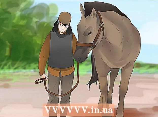 How to behave around a horse