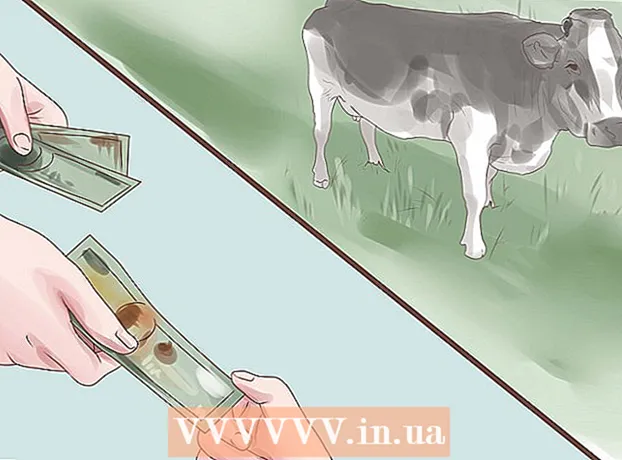 Kuinka valita käteinen lehmä