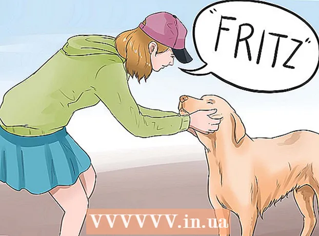 Kako izbrati vzdevek za psa