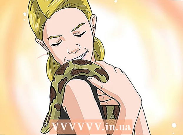 Cómo elegir tu primera serpiente domesticada