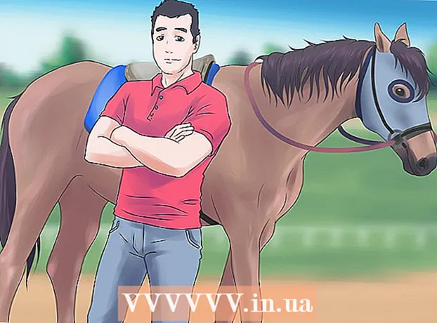 Kuinka voittaa hevoskilpailuja