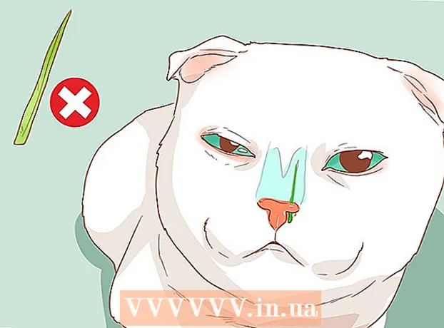 How to cure a cat's runny nose