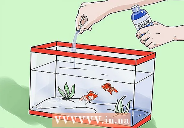 Hoe waterzucht bij een goudvis te genezen?