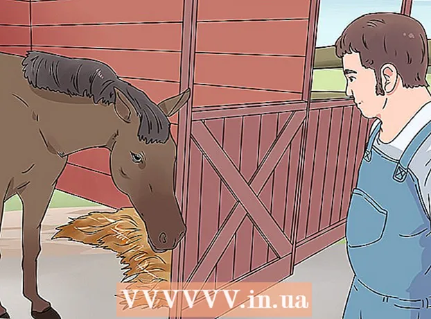 Hoe oogziekten bij een paard te genezen?