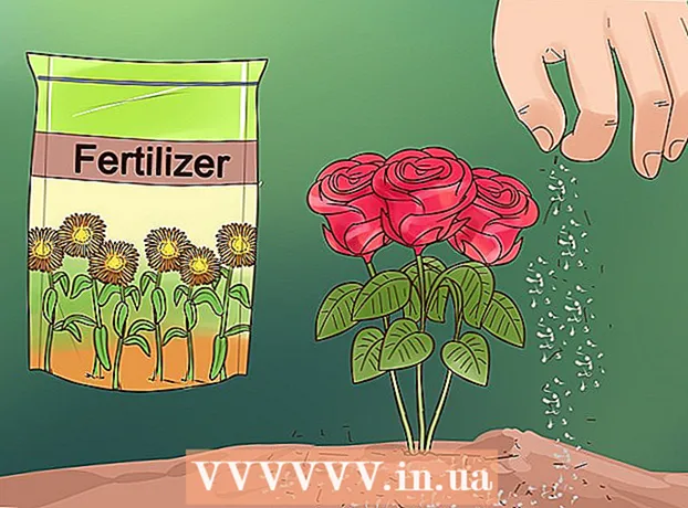 Kuidas seemnetest lilli kasvatada