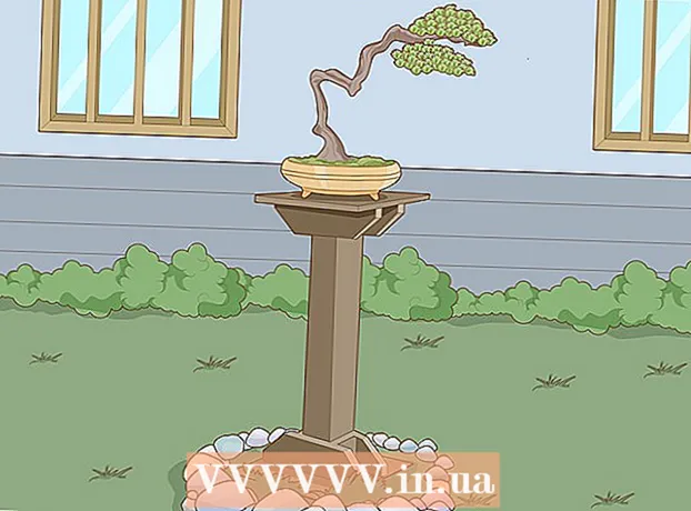 Si të rriteni dhe kujdeseni për bonsai