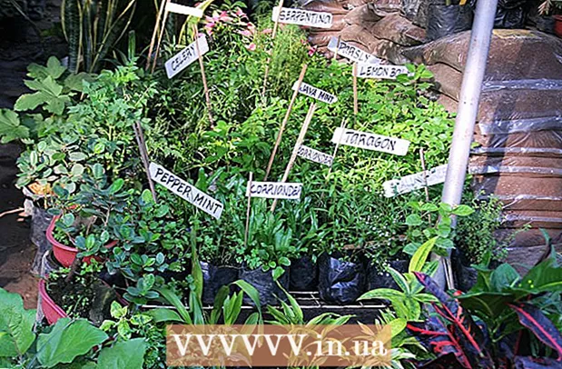 How to grow vegetables vertically