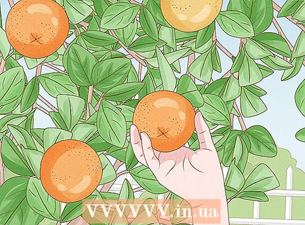 Cum să crească un portocal