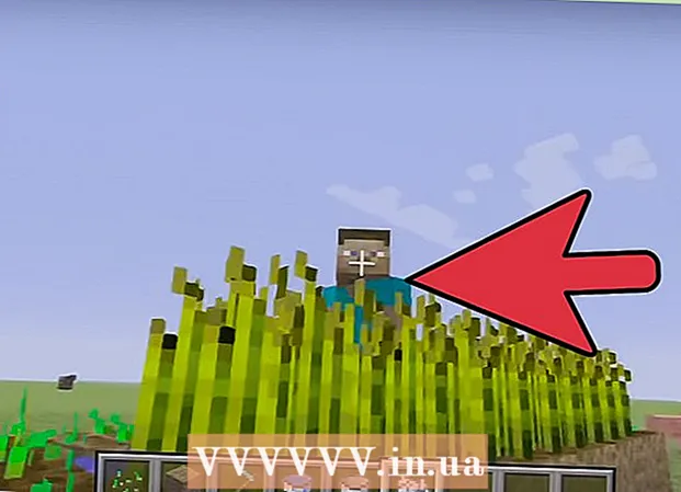 Kuinka kasvattaa mukava puutarha Minecraftissa