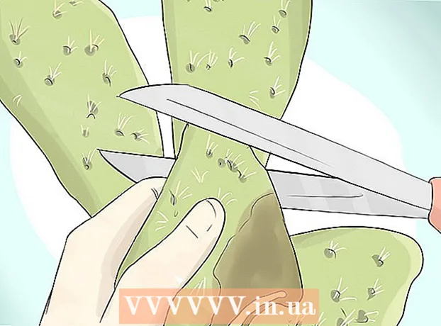 Hur man odlar en kaktus i en behållare