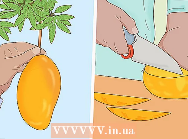 Si të rritet një pemë mango