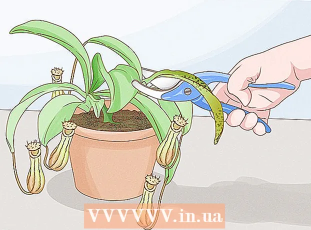 Πώς να καλλιεργήσετε σαρκοφάγα φυτά