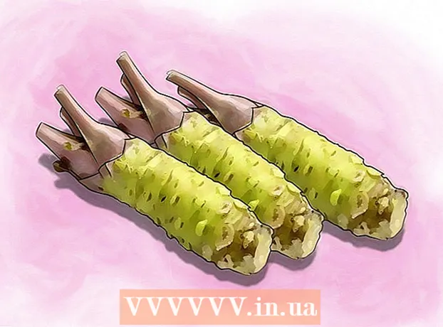 Cara menanam wasabi