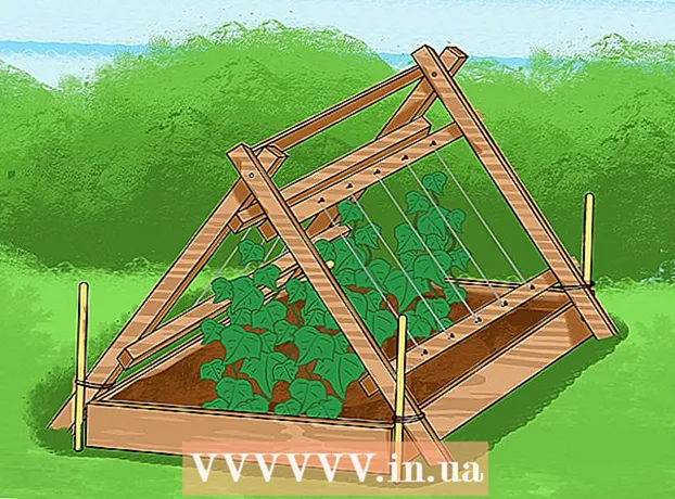 Hvordan dyrke krøllete agurker
