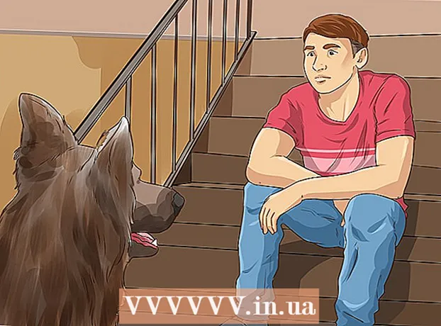 Comment sortir un chien d'un refuge