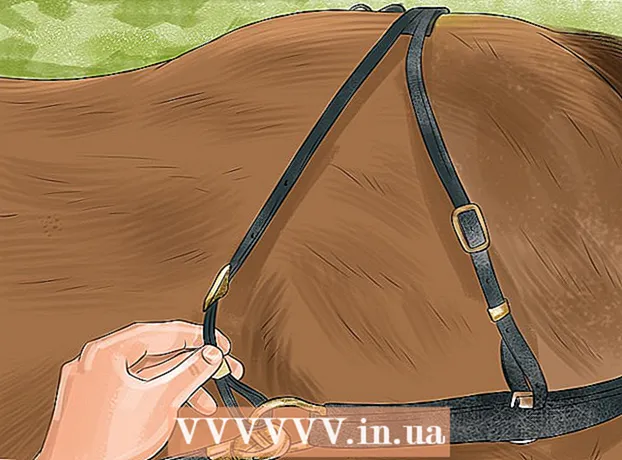 كيفية تسخير الحصان